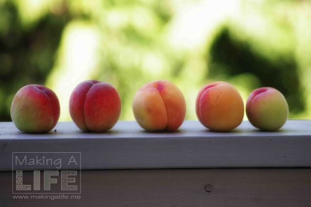 peaches1